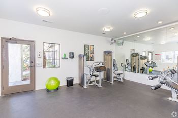The gym